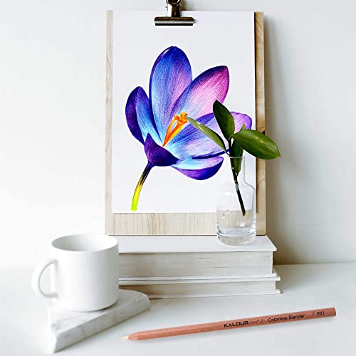 KALOUR Colorless Blender and Burnisher Pencils Set,Non-pigmented, Wax Based Pencil,perfect for Blending Softening Edges,ideal for Colored Pencils,Art Supplies for Artists Beginners(6 Pencils Total) - Image 2